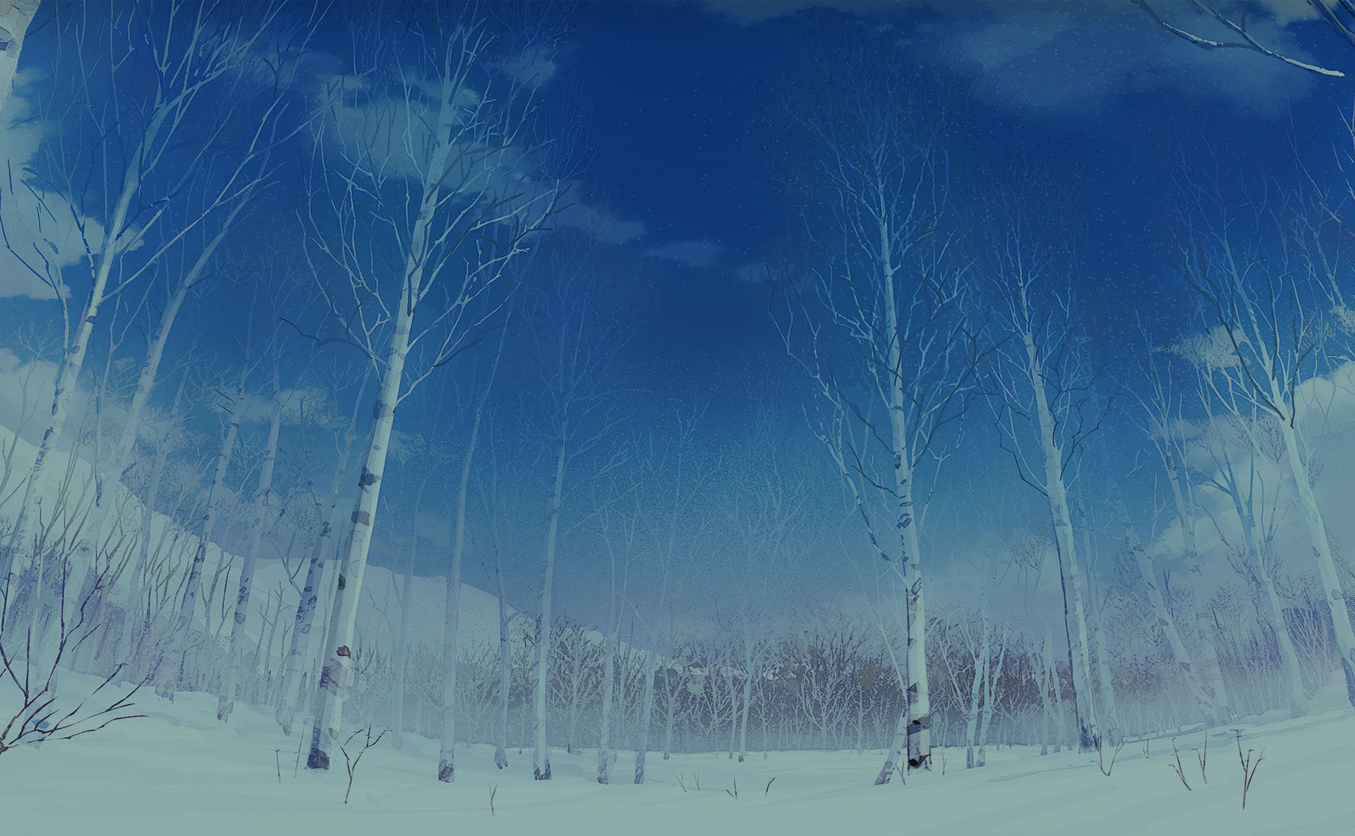 冬白樺林